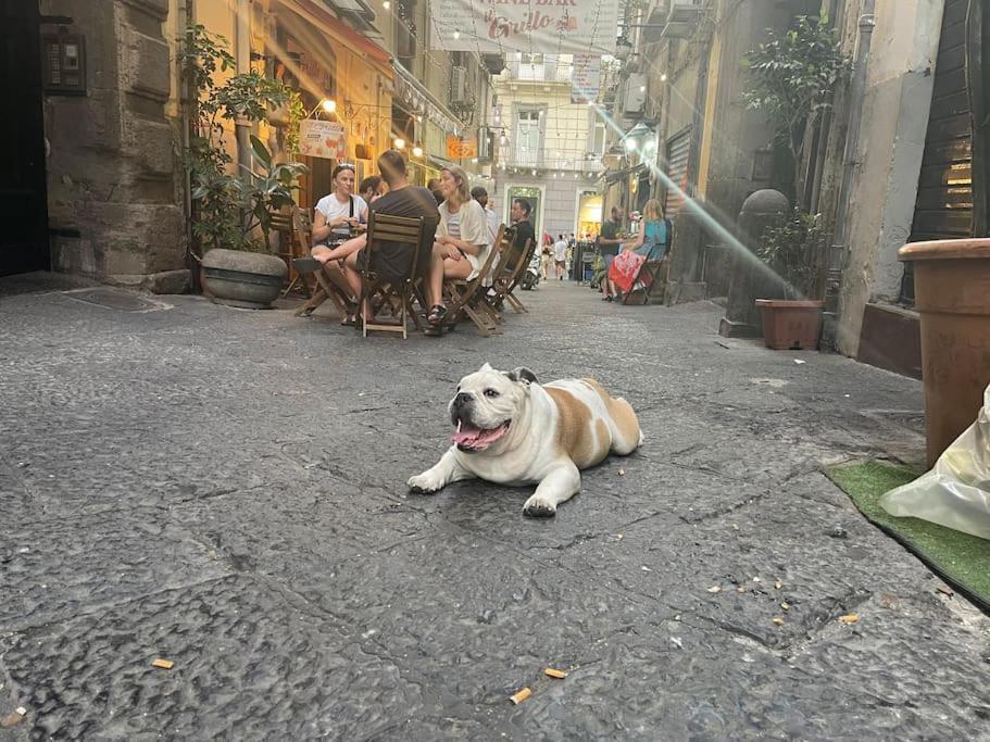 Appartamento La Casa Di Sarah Aspetta Voi Napoli Esterno foto